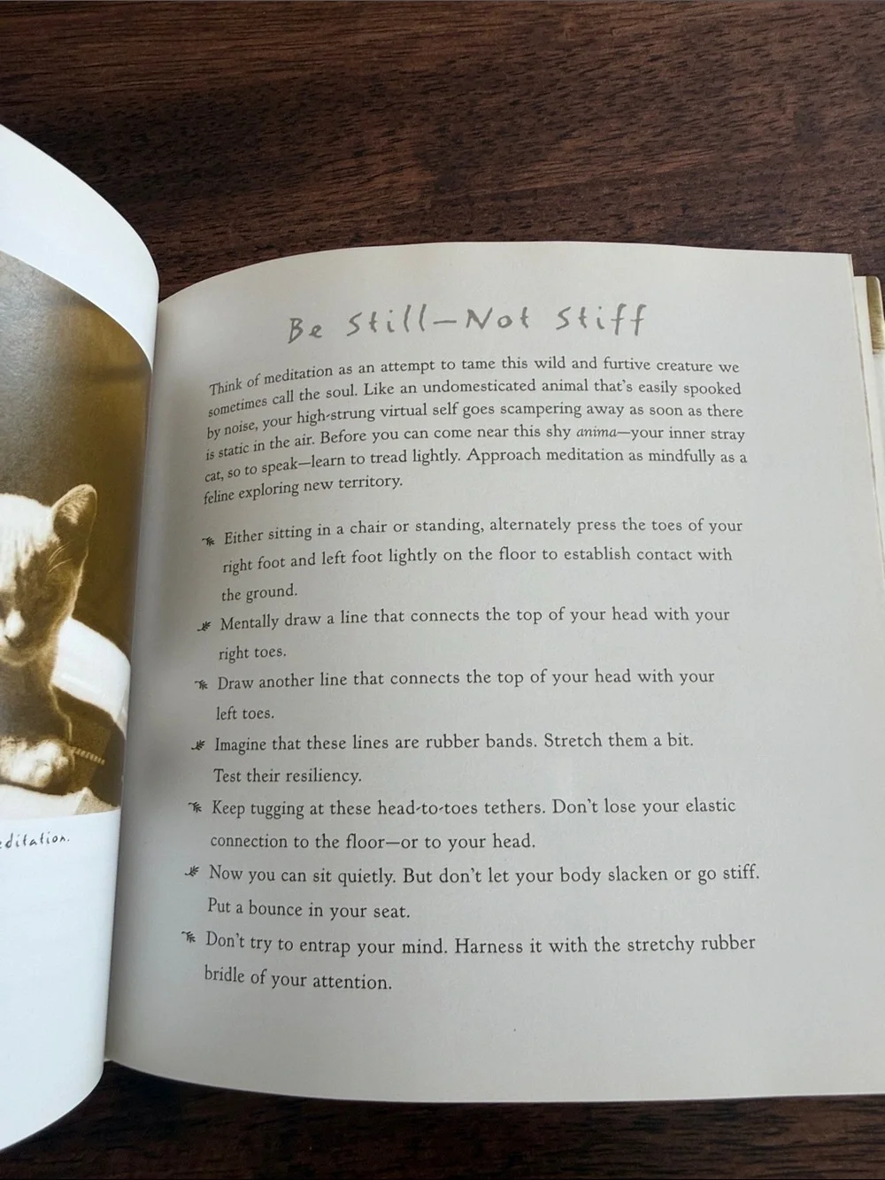 The Art of doing nothing hardcover book